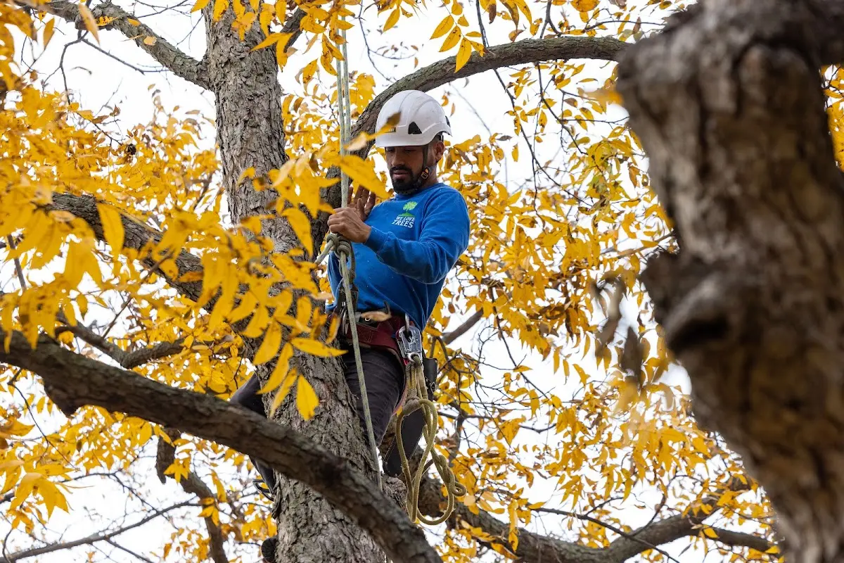 Skilled Storm Damage Cleanup crew working in Blawenburg